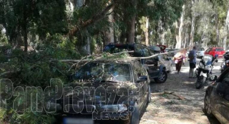 Έπεσαν τα πρώτα χιόνια στην Ήπειρο – Πτώσεις δένδρων από την κακοκαιρία