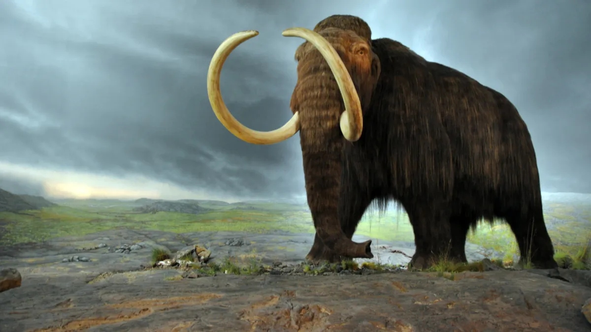 bring-back-woolly-mammoth-l