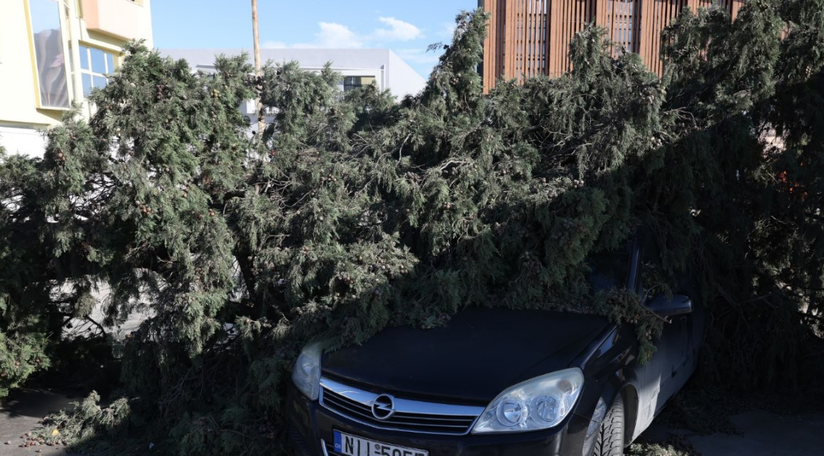 Θεσσαλονίκη: 150 κλήσεις δέχθηκε η Πυροσβεστική – Στα 106 χλμ./ώρα οι ριπές του ανέμου