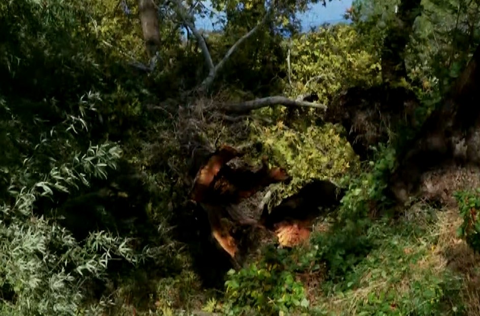 Χαλκιδική: Ανεμοστρόβιλος ξήλωσε δέντρα, στέγες και μια κολώνα της ΔΕΗ