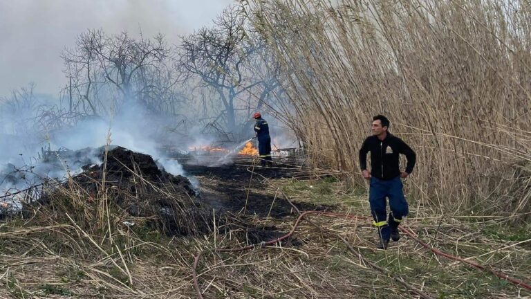 Σητεία: Φωτιά σε καλαμιώνα στα Λιβάδια – Σβήστηκε από την Πυροσβεστική