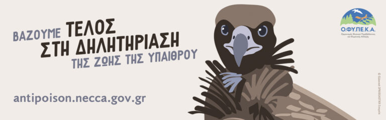Αλεξανδρούπολη: Σε εξέλιξη πανελλήνια εκστρατεία ενημέρωσης για τα δηλητηριασμένα δολώματα
