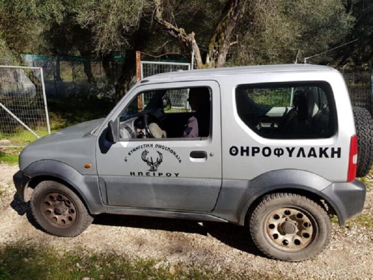 Λαθροθήρας σκότωσε ζαρκάδι στο Κάτω Ζάλογγο