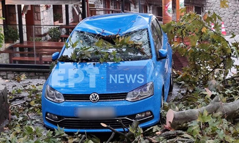 Ήπειρος: Πτώσεις δέντρων από ισχυρούς ανέμους στο Μέτσοβο – Κατολισθήσεις στα Τζουμέρκα (εικόνες + βίντεο)