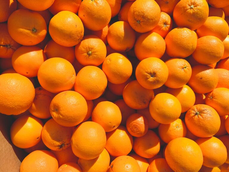 ΗΠΑ: «Στα ύψη» το πορτοκάλι – Πόσο κοστίζει σήμερα στην Ελλάδα και πού θα κυμανθεί φέτος η τιμή του στην αγορά