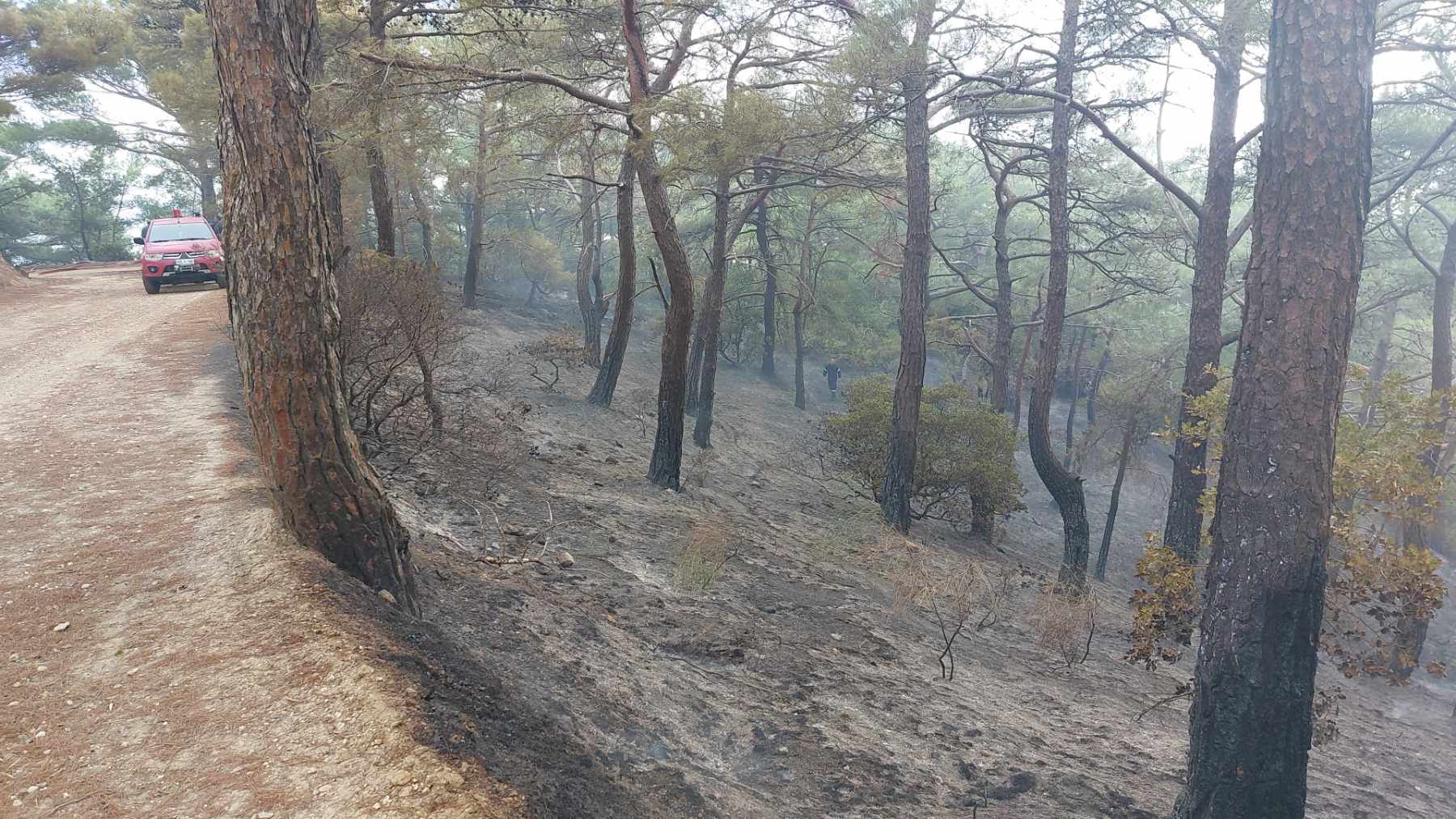 Υπό έλεγχο τέθηκε η πυρκαγιά στον Καριώνα Λέσβου