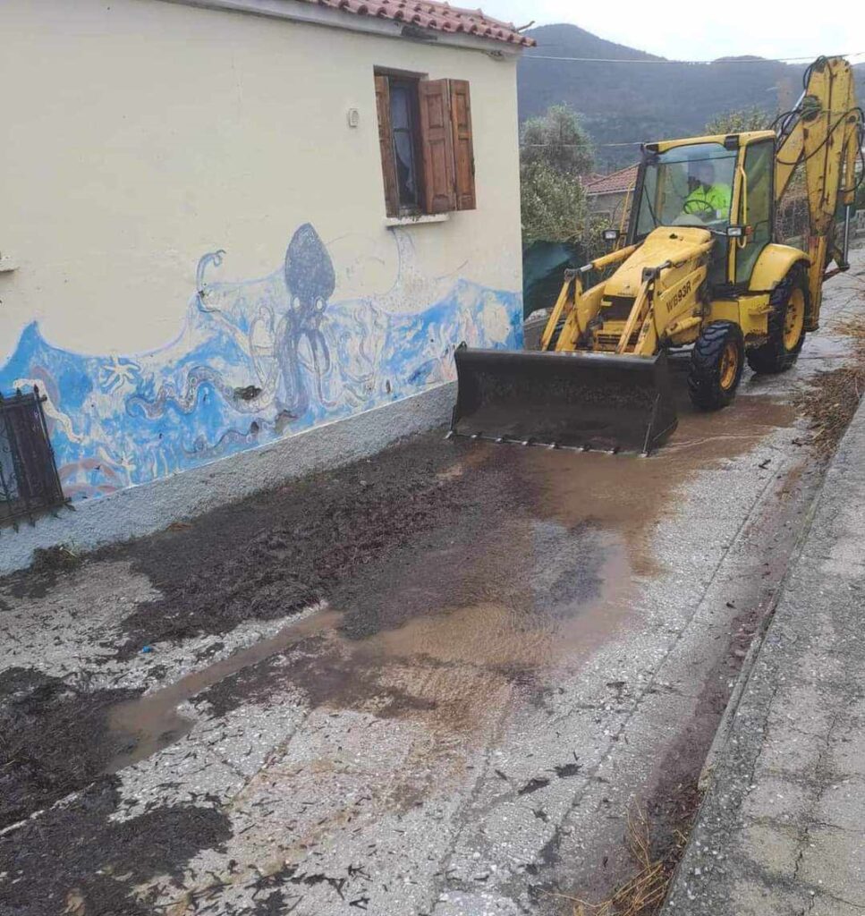 Κακοκαιρία Bettina: Πτώσεις δέντρων και κλειστοί δρόμοι στη Δ. Λέσβο
