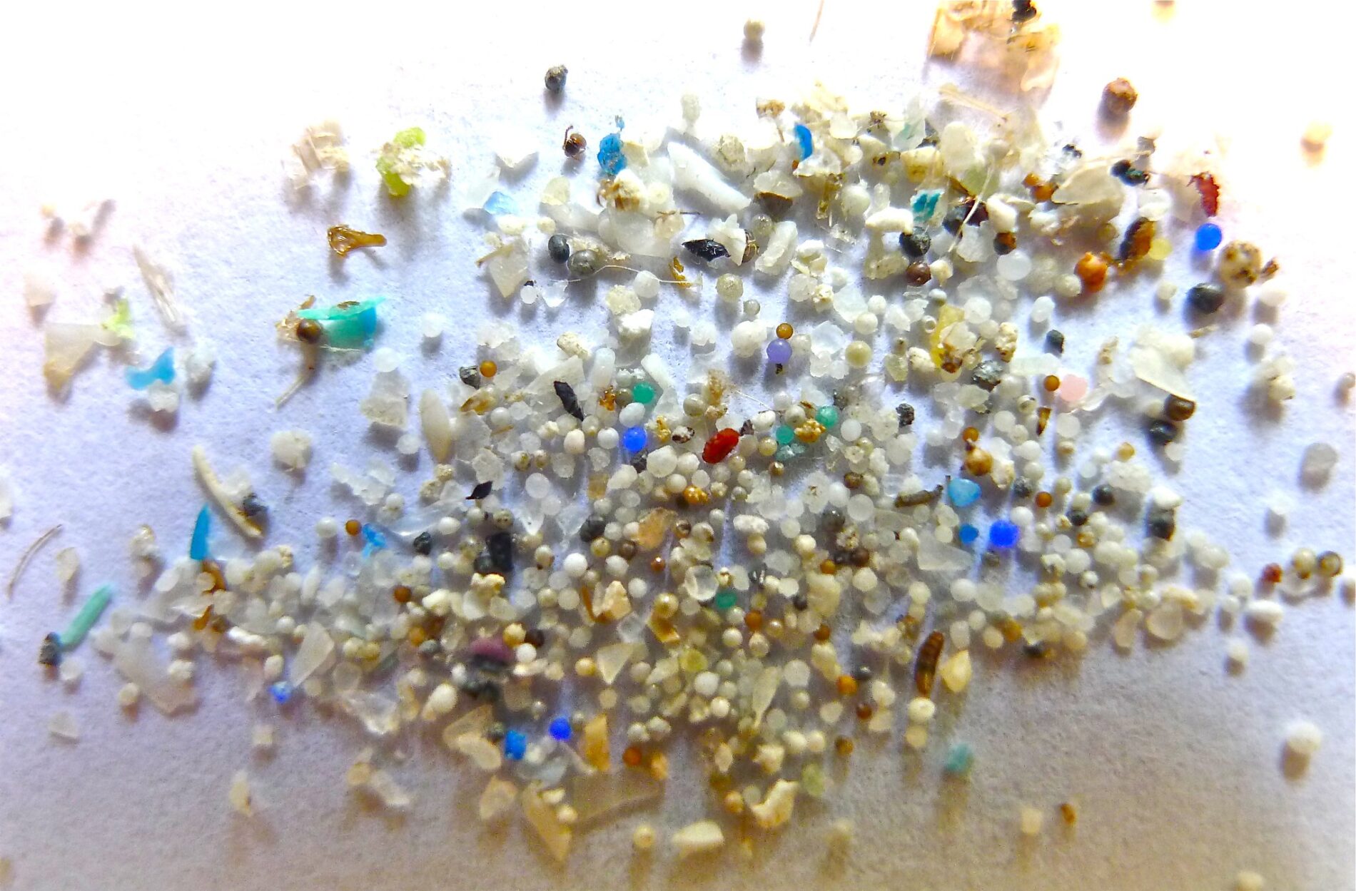 microplastics--1900x1249