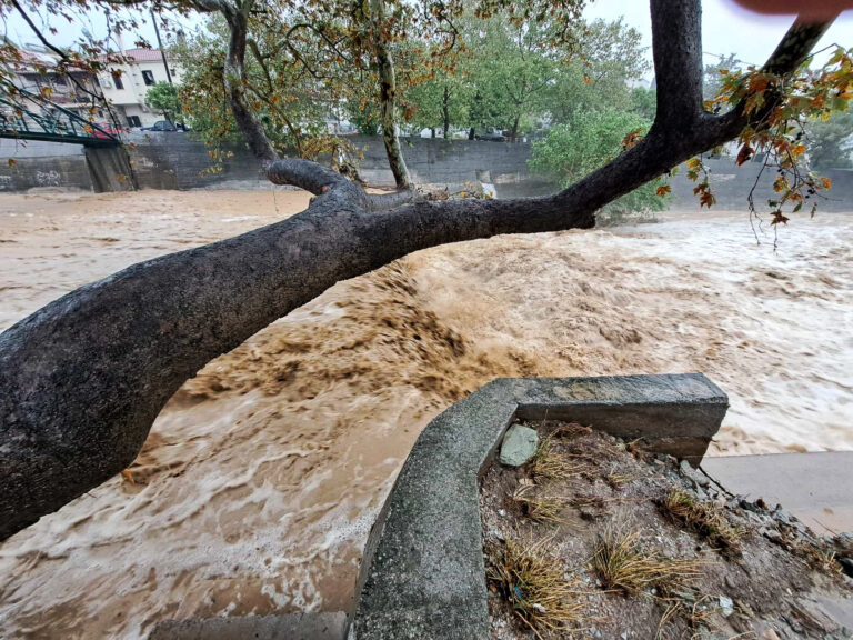 ΚΑΚΟΚΑΙΡΙΑ ΣΤΟ ΒΟΛΟ- ΧΕΙΜΑΡΡΟΣ ΞΗΡΙΑΣ (ΣΕΒΙΝΑ ΔΑΡΙΩΤΟΥ/ EUROKINISSI)