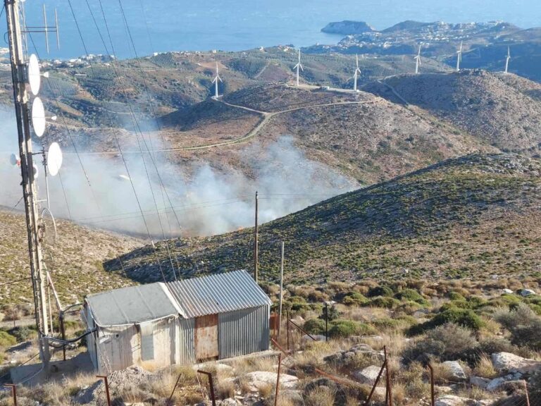 Ηράκλειο: Σε ύφεση η πυρκαγιά στην περιοχή της Αχλάδας (βίντεο) – Ενδείξεις για εμπρησμό