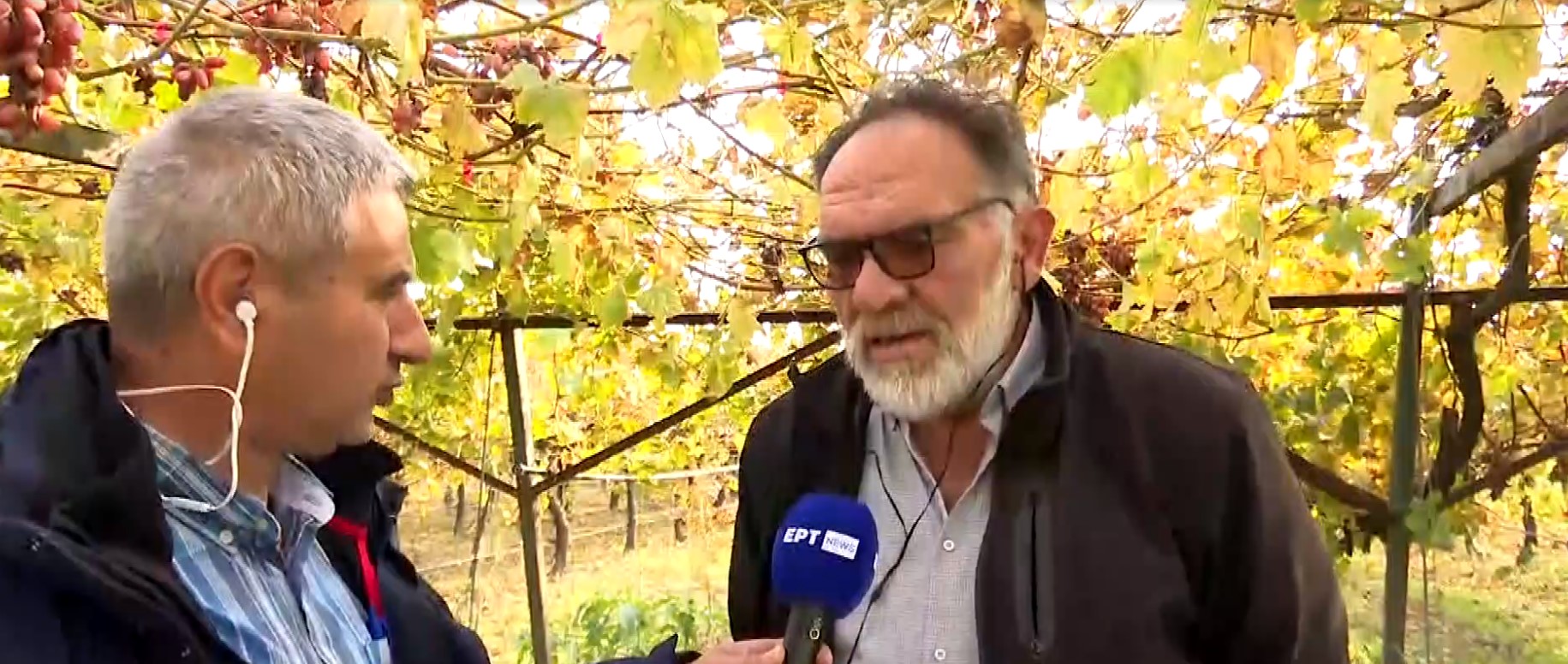 Παπανικολάου Πιερία