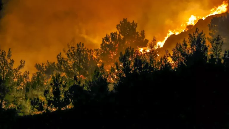 Εκδόθηκε η ΚΥΑ για την προκαταβολή 50% της κρατικής αρωγής για τις ζημιές σε φυτικό κεφάλαιο από πυρκαγιές