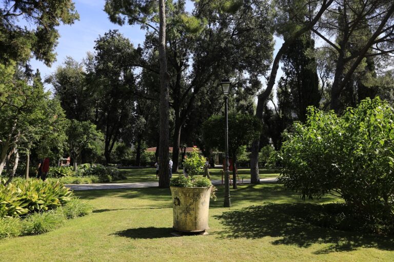 «Πλανόδια Βιβλιοθήκη» στον κήπο του Προεδρικού Μεγάρου – Εκπαιδευτικό πρόγραμμα παρουσία της Κ. Σακελλαροπούλου