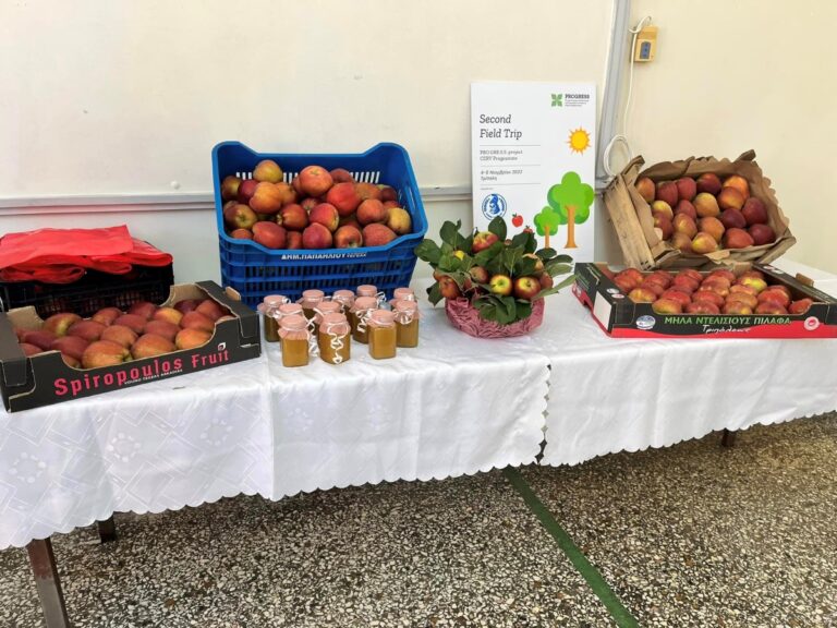Το Επιμελητηριακό Συμβούλιο της Πελοποννήσου για τα θέματα των σαρωτικών δασμών