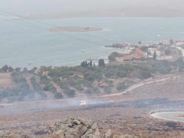 Λέσβος: Δύο φωτιές από καύση χόρτων με θυελλώδεις ανέμους και εν μέσω απαγόρευσης