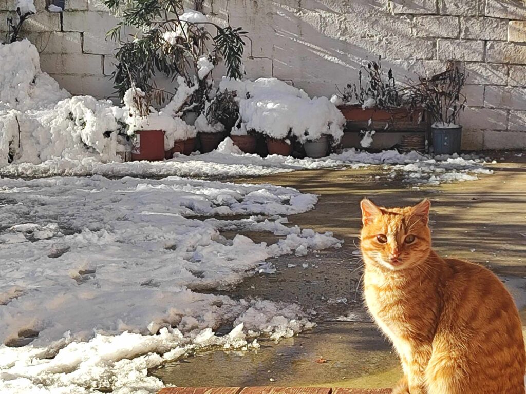 Κοζάνη: Τ.Κ Σιδερών-Η κοινότητα με τις εντυπωσιακά χαμηλές θερμοκρασίες τον χειμώνα