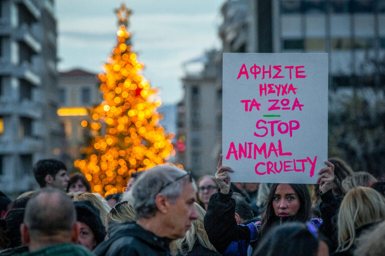 «Αφήστε ήσυχα τα ζώα»: Συγκέντρωση διαμαρτυρίας στο Σύνταγμα για την υπόθεση κακοποίησης χάσκι στην Αράχωβα