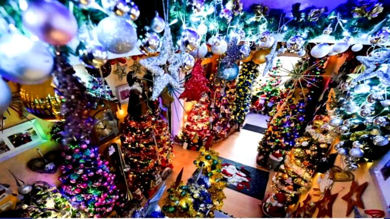 Τα Χριστούγεννα της υπερβολής: Οικογένεια στη Γερμανία γέμισε το σπίτι με 555 δέντρα – Δύο μήνες διήρκεσε ο στολισμός