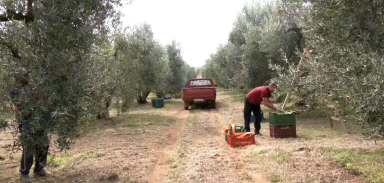 Τροπολογία για τις άδειες παραμονής μεταναστών- Τι δηλώνουν οι εκπρόσωποι τουρισμού, εστίασης και αγροτικών συνεταιρισμών