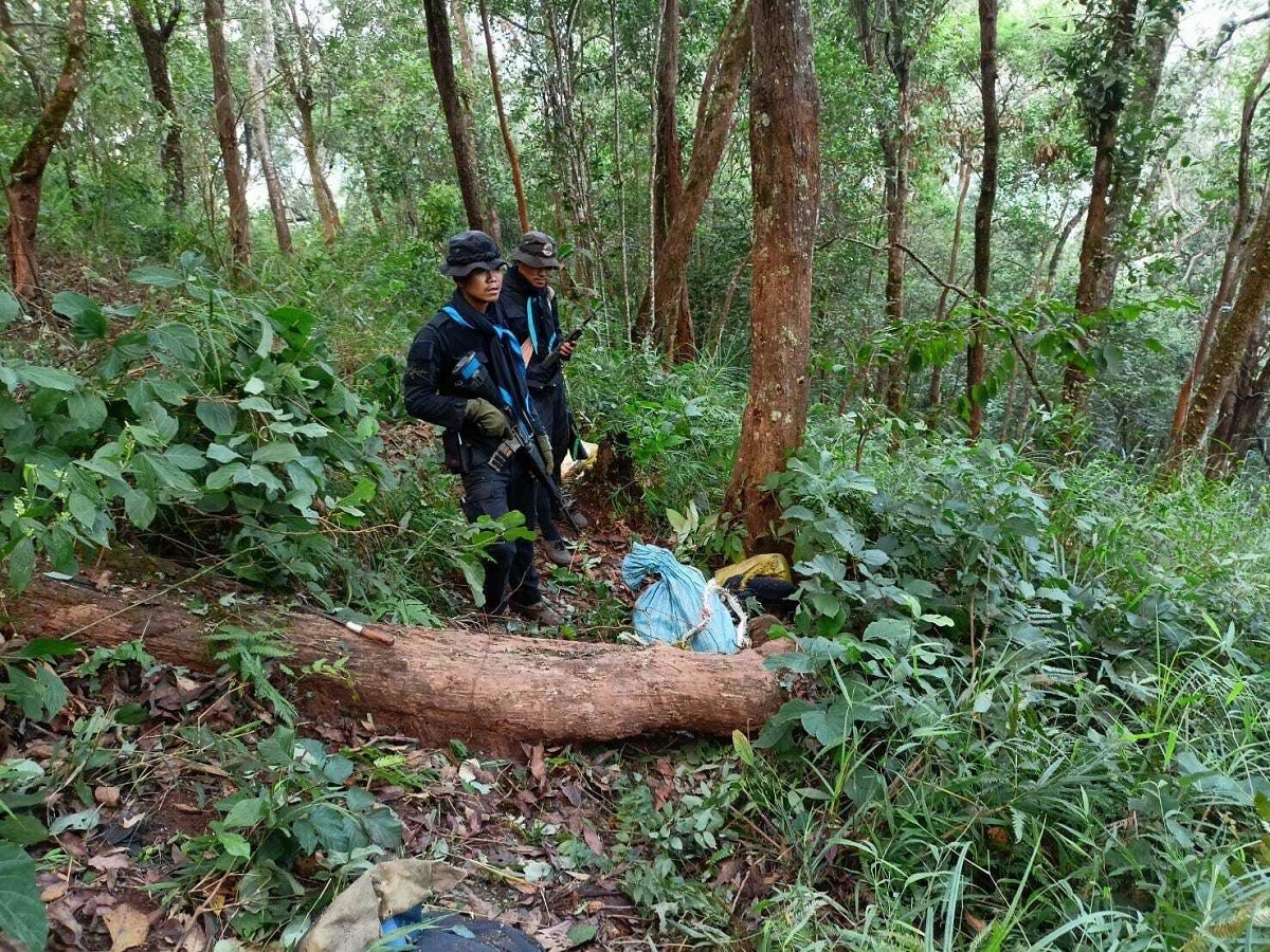 Ταϊλάνδη: Οι ένοπλες δυνάμεις σκότωσαν στα σύνορα με τη Μιανμάρ  15 φερόμενους διακινητές ναρκωτικών