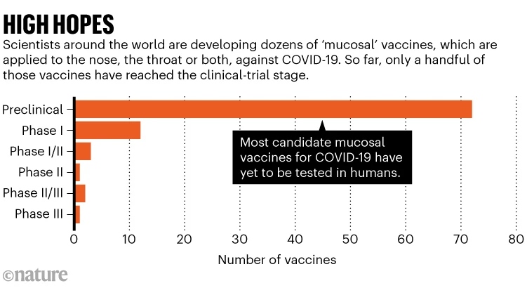 Κορονοϊός: Τα εισπνεόμενα εμβόλια αποτρέπουν τη λοίμωξη σε πιθήκους