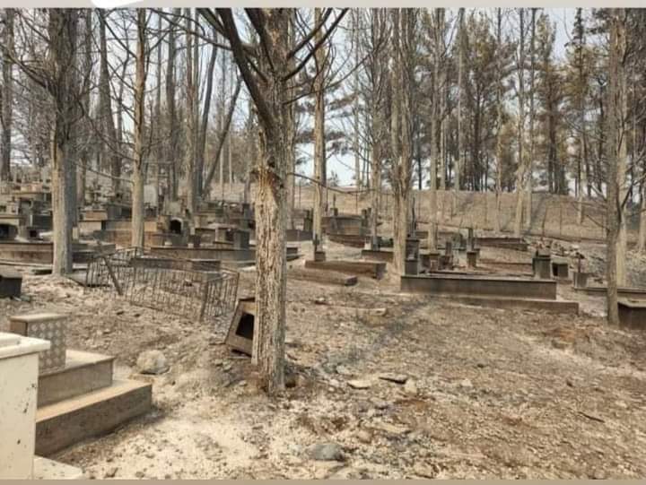 Το «ευχαριστώ» των Ιμβρίων μετά από 59 χρόνια στο χωριό του Έβρου που καταστράφηκε από τις πυρκαγιές