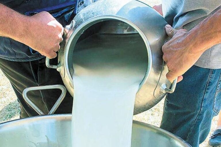 Ι. Μανάβης: Δε θα δεχτούν κάτω από 1,60 ευρώ το γάλα οι κτηνοτρόφοι της Λέσβου