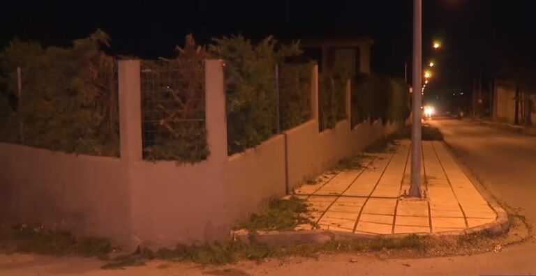 Θεσσαλονίκη: Σκυλιά τραυμάτισαν θανάσιμα γυναίκα στη Νεοχωρούδα