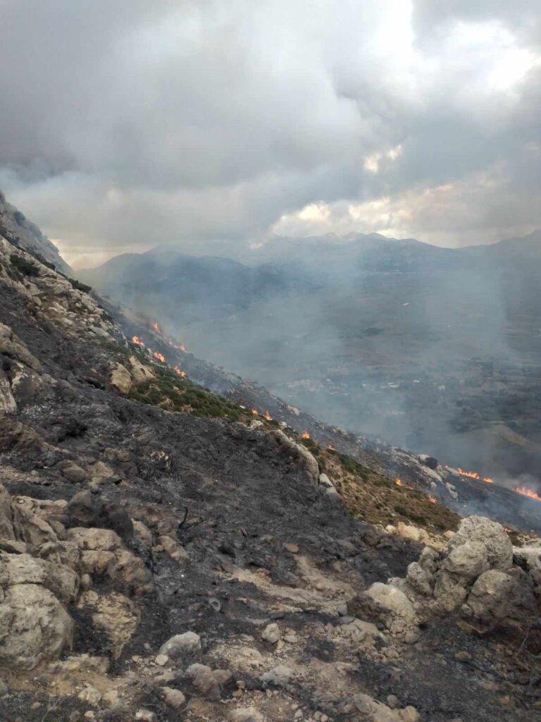 Ηράκλειο: Εμπρησμό πίσω από την πυρκαγιά στο Οροπέδιο Λασιθίου “βλέπει” η Πυροσβεστική (βίντεο)