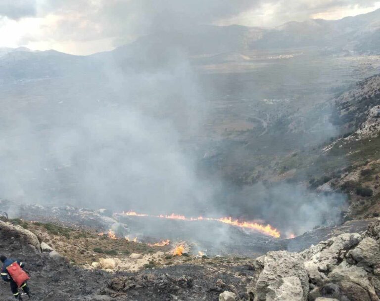 Υπό έλεγχο οι πυρκαγιές στην Ποταμιά Λακωνίας και στους Μολάους