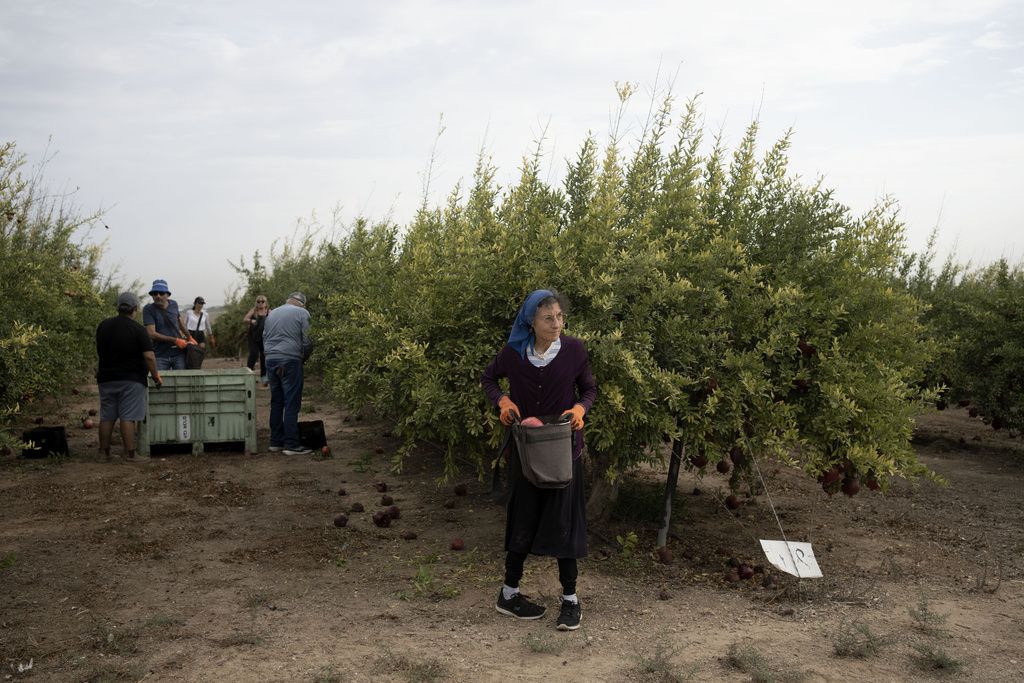 Israel Farming Crisis