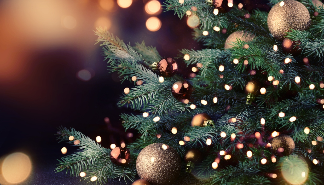 Θεσσαλονίκη: Σήμερα η φωταγώγηση του χριστουγεννιάτικου δέντρου στη Γ’ Δημοτική Κοινότητα, στην Άνω Πόλη