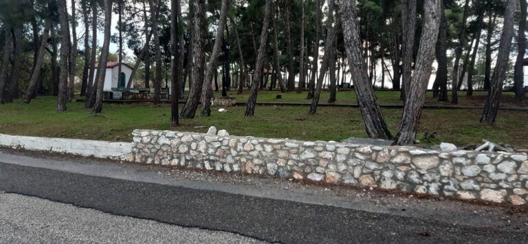 Ξεκίνησαν οι εργασίες αναμόρφωσης και εξωραϊσμού στον χώρο αναψυχής “Δεντράκι” στις Σάπες
