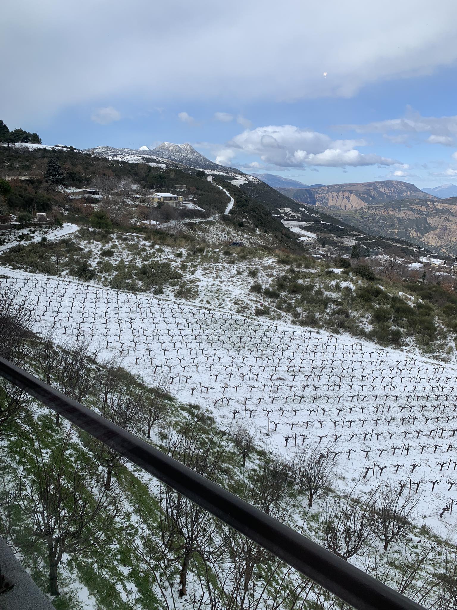 Κακοκαιρία «Avgi»: Σε ποιες περιοχές της Δυτικής Ελλάδας χρειάζονται αλυσίδες λόγω χιονοπτώσεων και παγετού