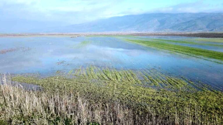 Αυγενάκης στο ΕΡΤNews για Θεσσαλία: Προβλέπεται αναδιάρθρωση καλλιεργειών στη μελέτη των Ολλανδών – Τι μελετά η κυβέρνηση