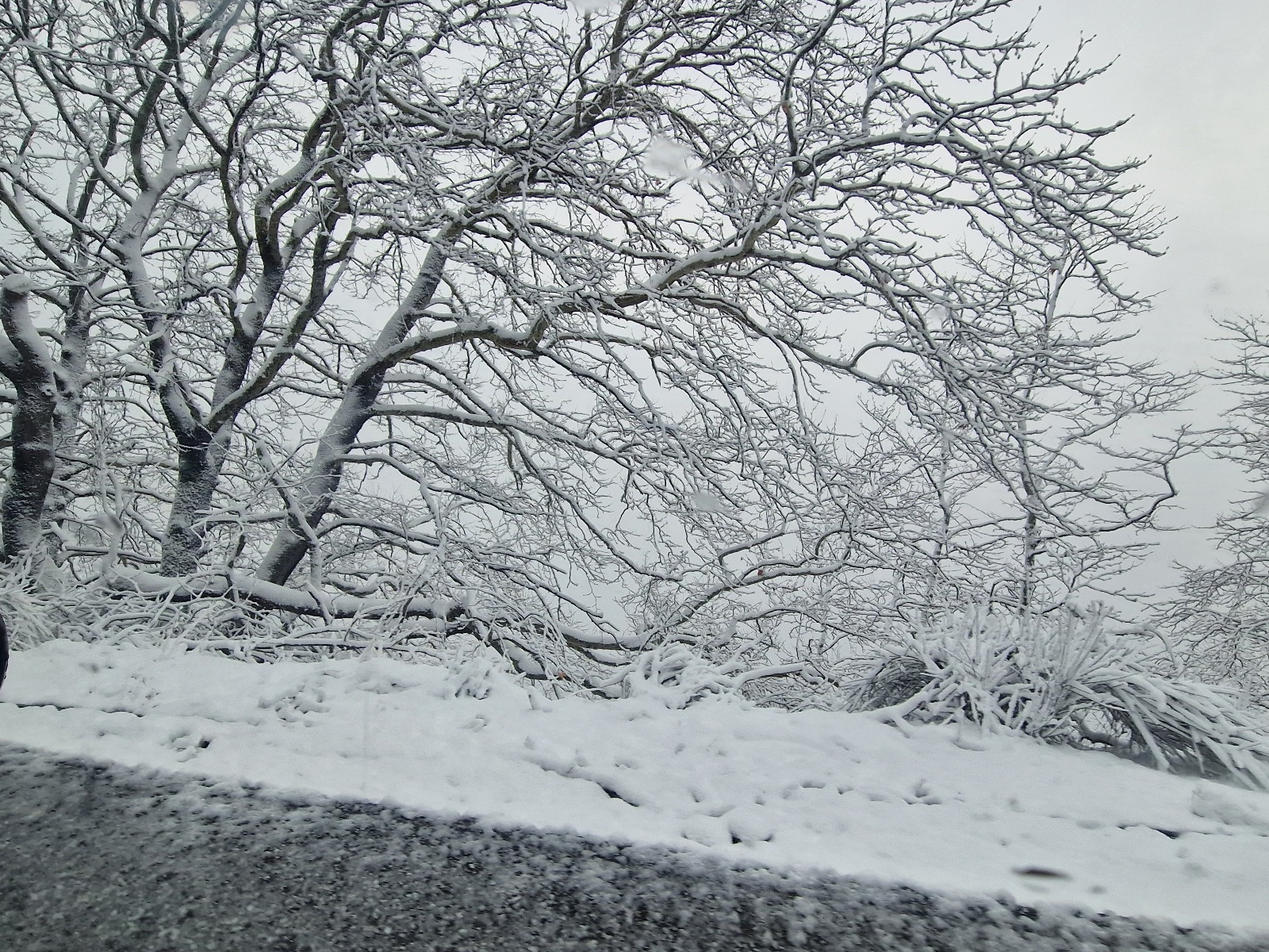 Πήλιο: Χιονίζει στα Χάνια – Με αντιολισθητικές αλυσίδες η κυκλοφορία από Χάνια ως Ζαγορά