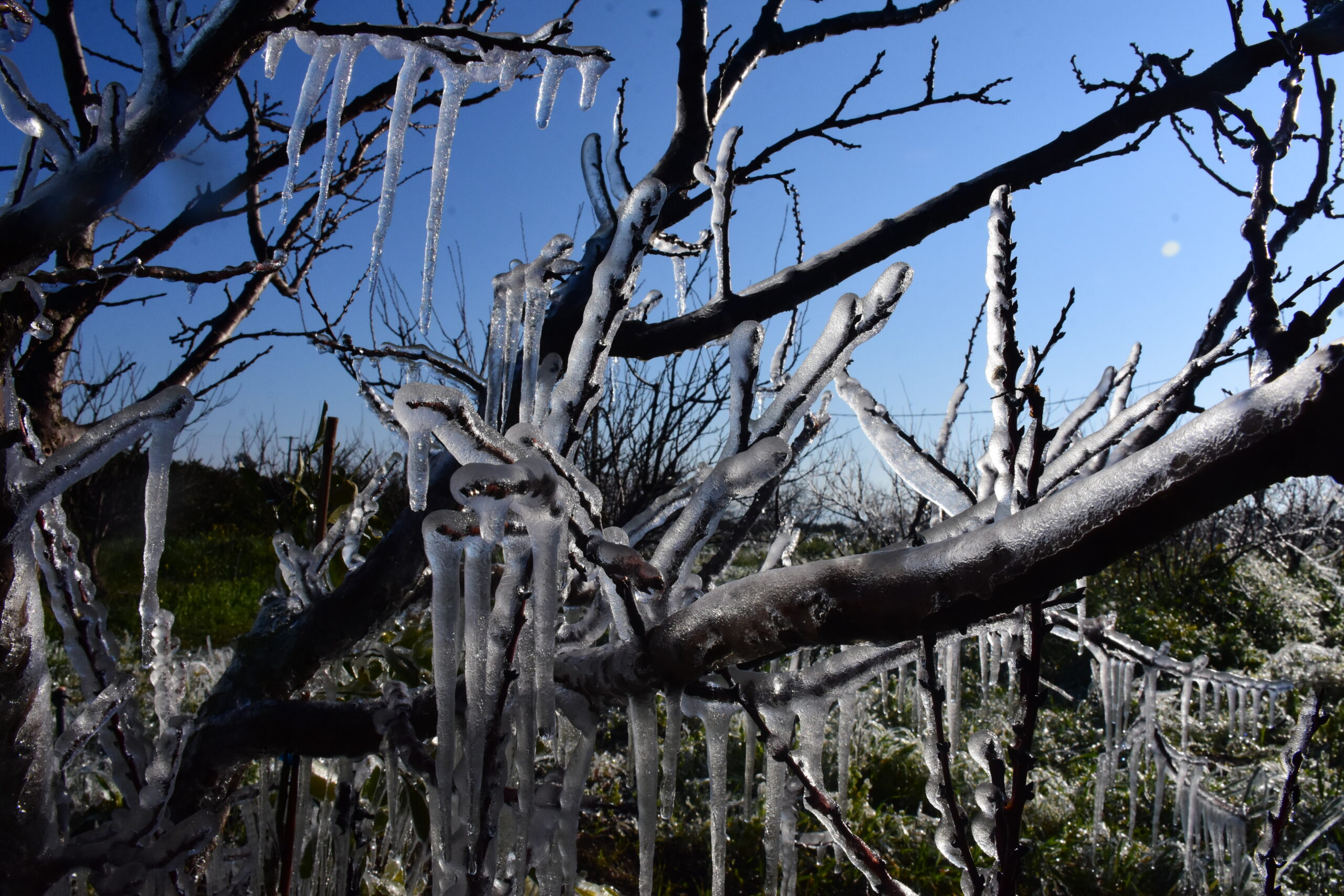 O καιρός με τον Παναγιώτη Γιαννόπουλο: Ήλιος με «δόντια» – Ισχυρός παγετός και κρύο