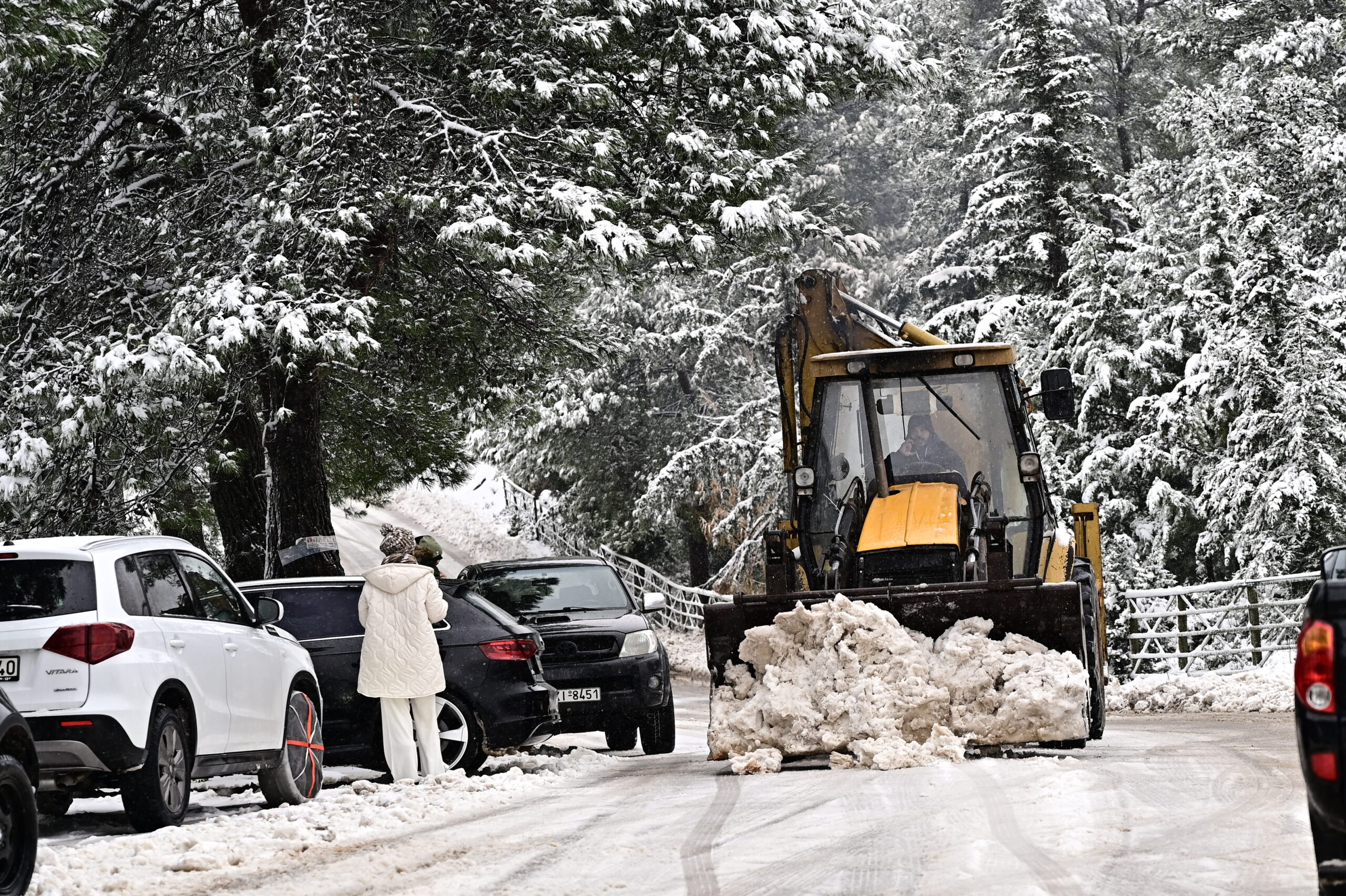 Snow terrain in Attica, Evia and Boeotia – which schools will be closed