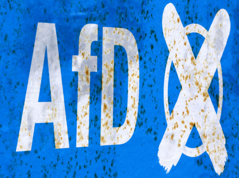 Γερμανία: Σάλος για σύμπραξη μελών του AfD, νεοναζιστών και επιχειρηματιών – Σχεδίαζαν μαζική απέλαση μεταναστών
