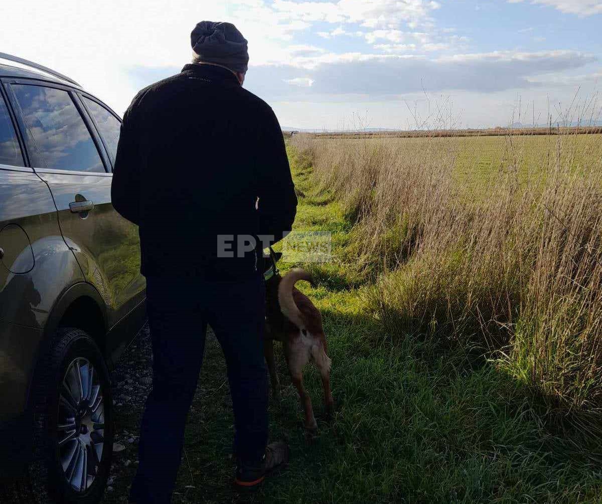 Με ειδικό σκύλο ανίχνευσης ανθρώπινων υπολειμμάτων συνεχίζονται οι έρευνες στο Μεσολόγγι