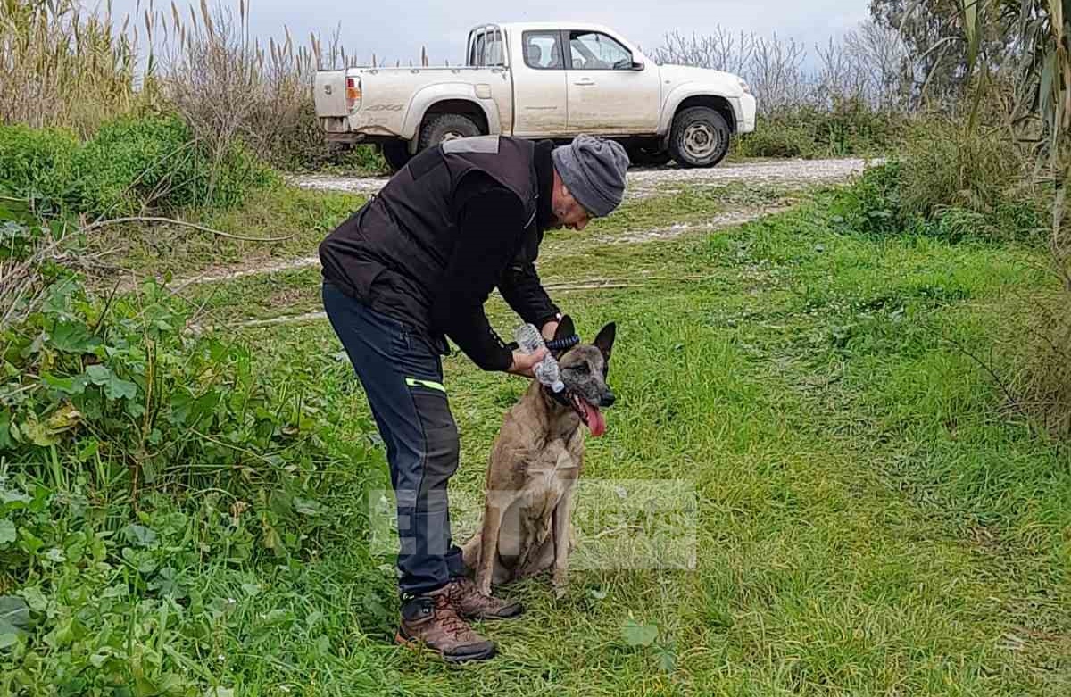 Με ειδικό σκύλο ανίχνευσης ανθρώπινων υπολειμμάτων συνεχίζονται οι έρευνες στο Μεσολόγγι