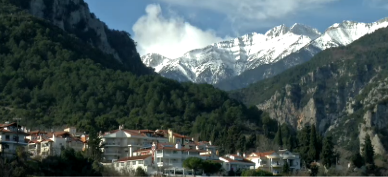 Προγράμματα κοινωνικής προσφοράς από την Ecogenia