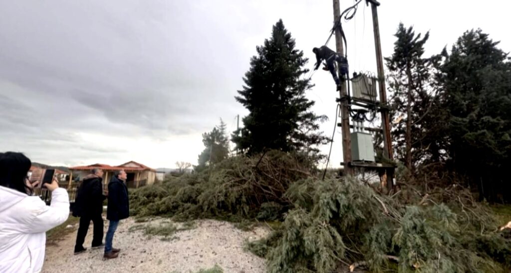 Θεσσαλονίκη: Πτώσεις δέντρων προκάλεσαν ζημιές σε αυτοκίνητα- Προβλήματα από τους ισχυρούς ανέμους και στη Χαλκιδική