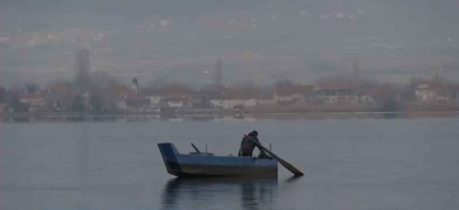Καστοριά: Νεκρό σπάνιο θαλασσοπούλι στη λίμνη- Πιάστηκε στα δίχτυα των ψαράδων