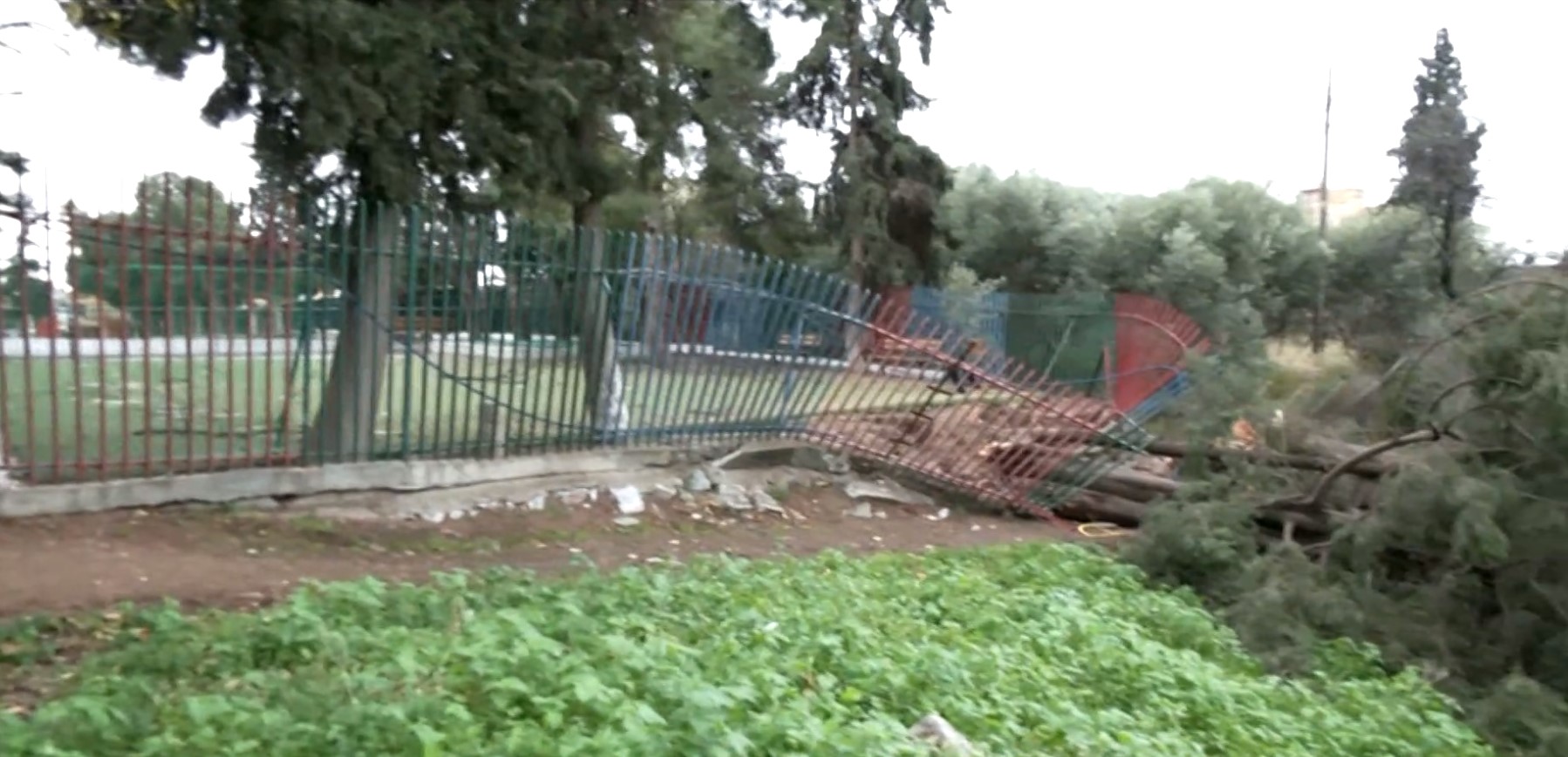 Θεσσαλονίκη: Πτώσεις δέντρων προκάλεσαν ζημιές σε αυτοκίνητα- Προβλήματα από τους ισχυρούς ανέμους και στη Χαλκιδική