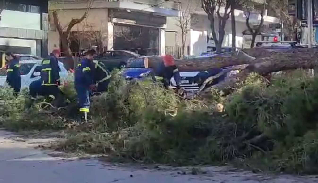 Θεσσαλονίκη: Πτώση δέντρου και παρασύρσεις κάδων από τους ισχυρούς ανέμους
