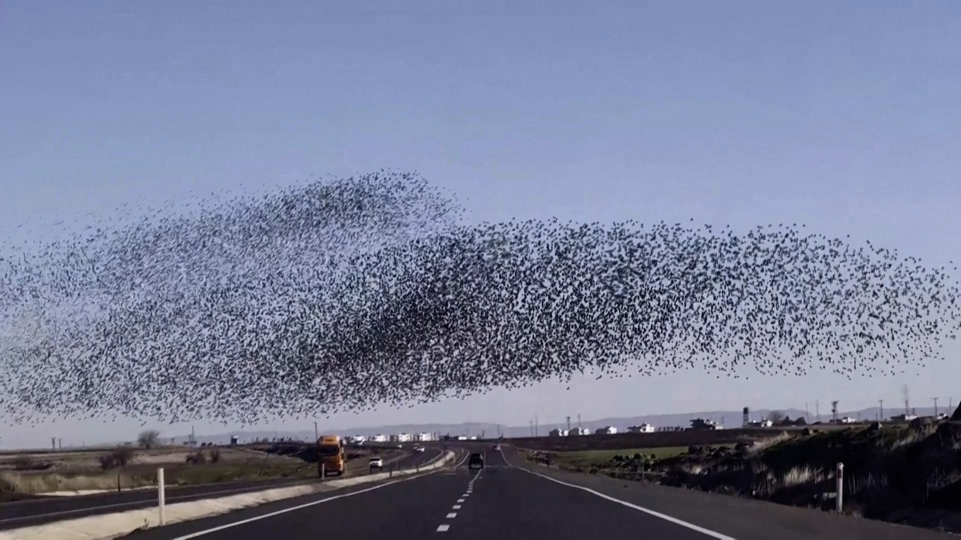 Βίντεο: Σμήνος πουλιών δημιουργεί εντυπωσιακούς σχηματισμούς στον τουρκικό ουρανό