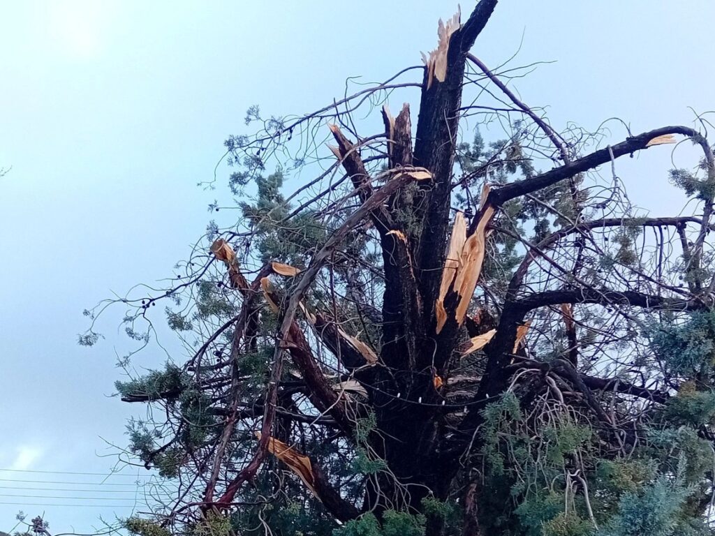 Ζημιές από ανεμοστρόβιλο στον οικισμό Αμορίου του Δήμου Σουφλίου