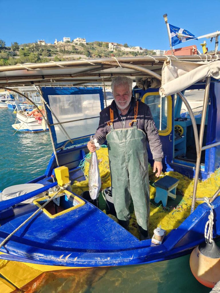 Ηράκλειο: Ολόκληρες ψαριές από λαγοκέφαλους ακόμη και σε μέγεθος γίγας βγάζουν οι αλιείς της Κρήτης