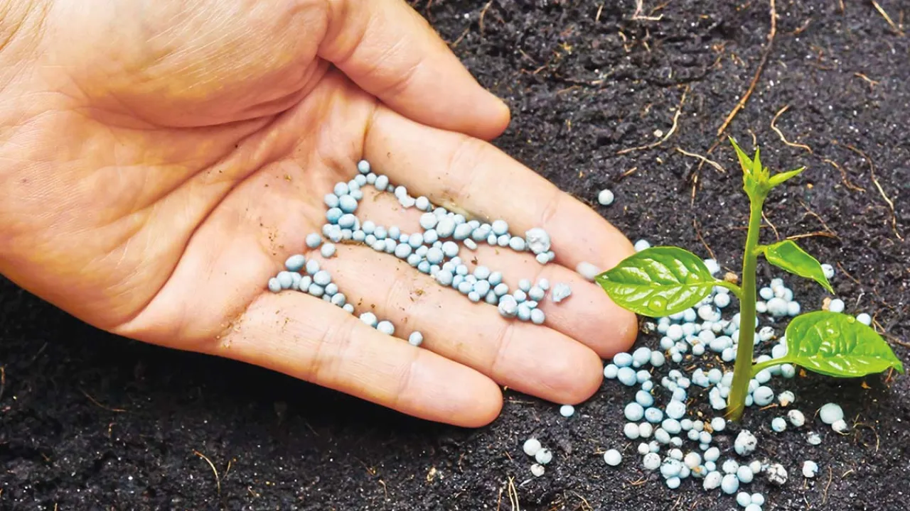 30η Agrotica: Μειώνεται η χρήση λιπασμάτων από τους αγρότες τα τελευταία χρόνια